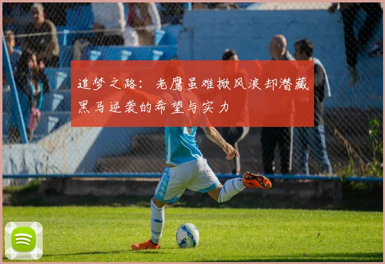 追梦之路：老鹰虽难掀风浪却潜藏黑马逆袭的希望与实力