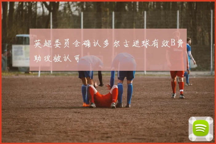 英超委员会确认多尔古进球有效B费助攻被认可